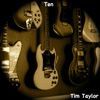 Tim Taylor