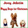 Joey Jelatin