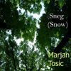 Marjan Tosic