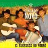 Gingado Novo