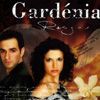 Gardenia