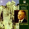 Zaki Nassif