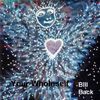 Bill Back