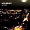 David R Black