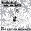 Colonel Coconut And The Spider Monkeys