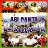 Various Artists