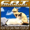 Cat Training