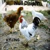 Null Disiplin