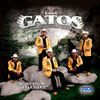 Los Gatos De Sinaloa