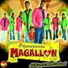 Organizacion Magallon