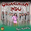 Organnizacion Indu