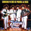 Los Zafiros Del Norte
