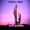 Static Field