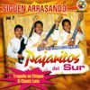 Los Internacionales Pajaritos Del Sur