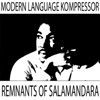Remnants Of Salamandara