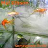 Mal Gibson