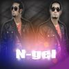 N-Gel