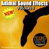 Sound Effects Of Hollywood