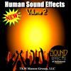 Sound Effects Of Hollywood