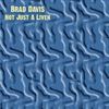 Brad Davis
