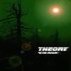Theory