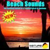 Nature Sounds & Backgrounds