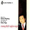 Elvis Phuong & Kieu Nga