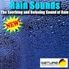 Nature Sounds & Backgrounds
