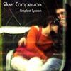Silver Campervan