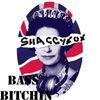 DJ ShaggyFox