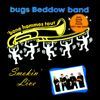 bugs Beddow band