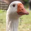 The Grey Goose Blues Band