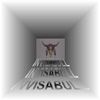 Invisabull