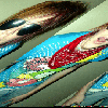 dotdotcurve